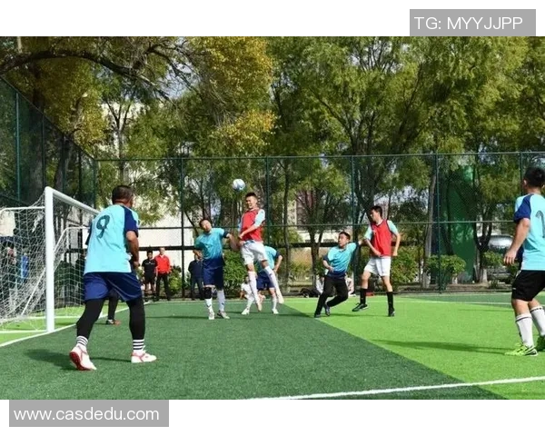 狮王降临绿茵场 展现霸气风采与非凡足球技艺